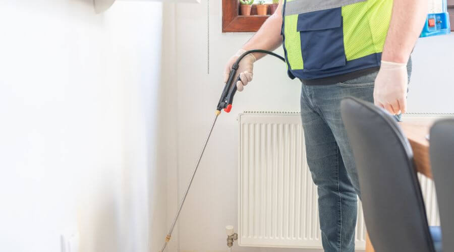 Professional pre-home sale inspections services in Carbondale - Pre-Home Sale Inspections Carbondale